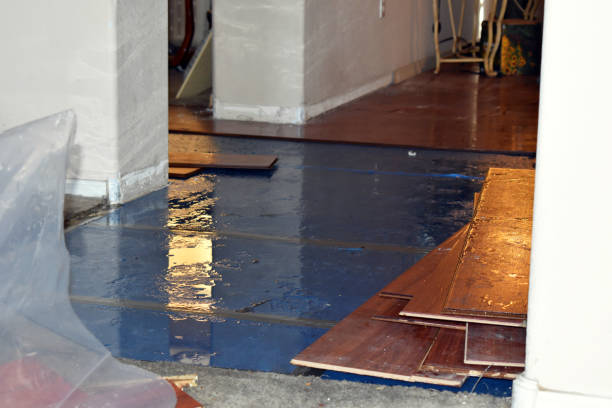 Professional Sewage Cleanup technician working in Weston, MI
